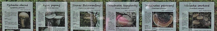 Přírodní památka