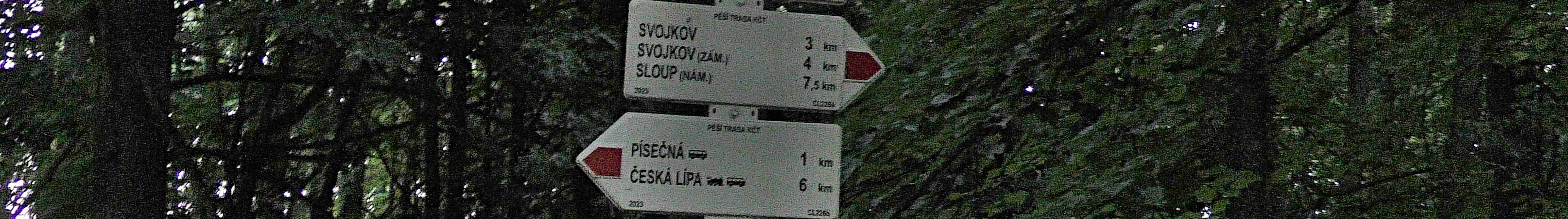Snídaně v lese