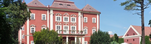 Dětenice