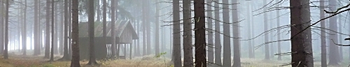 Prysk