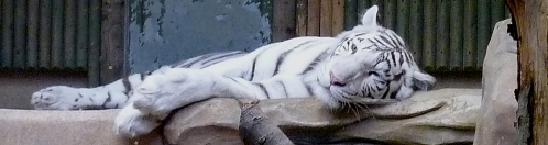 ZOO Liberec