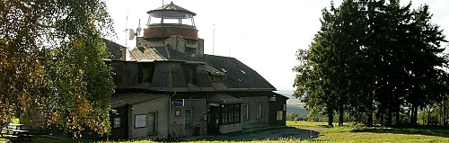 Zvičina